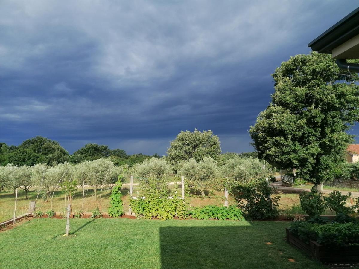 Ferienresidenz Lavandula Nova Vas  Kültér fotó